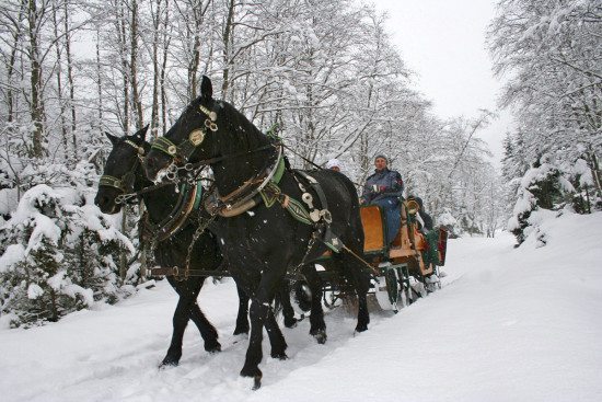 Pferdeschlittenfahrten - Großarltal, Salzburger Land