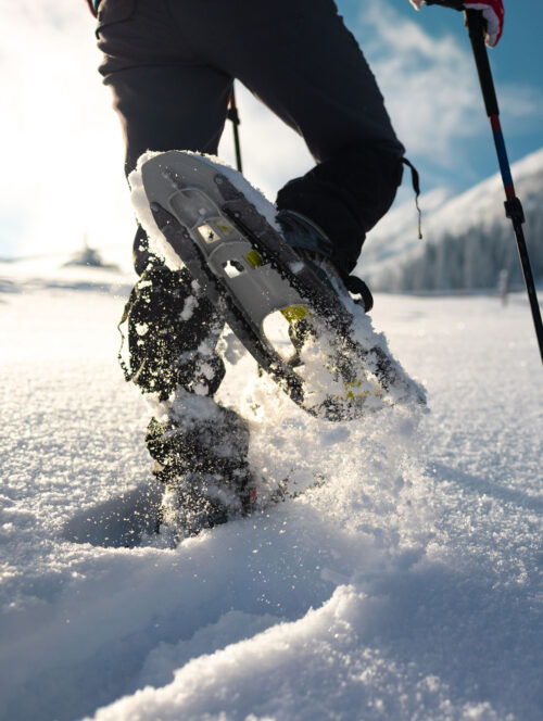 Schneeschuhwandern - Winterurlaub im Großarltal Schneeschuhwandern - Winterurlaub im Großarltal
