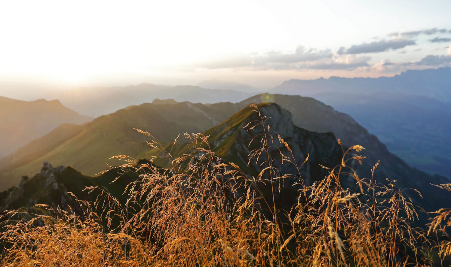 Wandern im Sommerurlaub im Großarltal, Salzburger Land