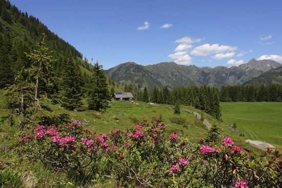 Wandern & Wanderurlaub in Großarl, Salzburger Land